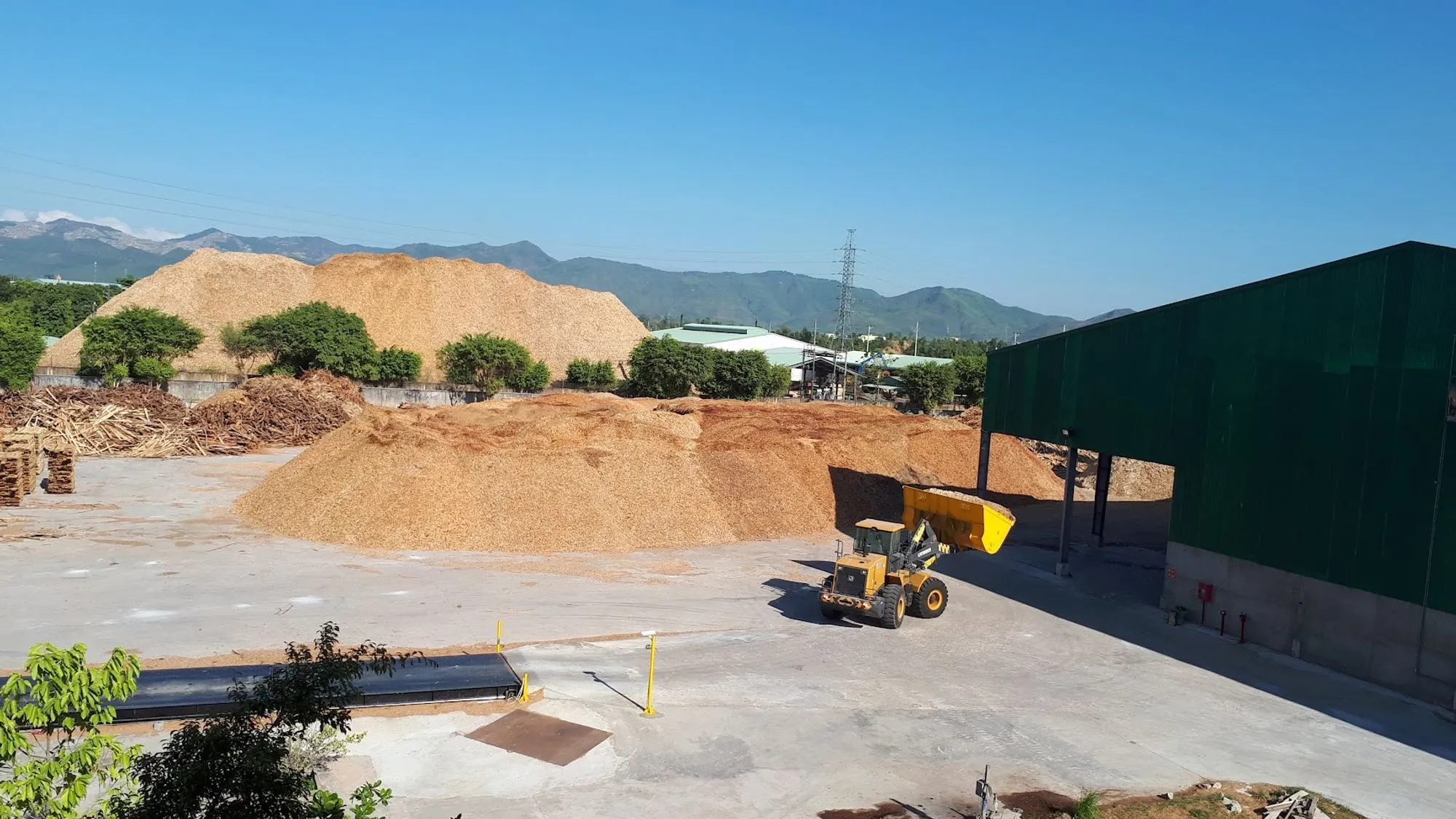 Ayo Biomass | Koidra’s Intelligent Automation for Improved Efficiency